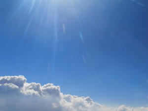 Image_1558635949 Image_1558635949